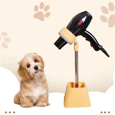 secadores para perros 4